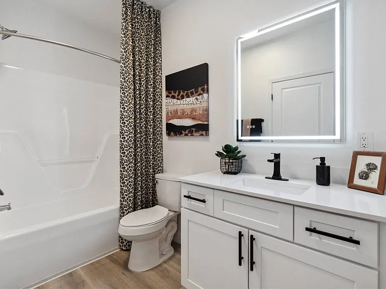 Verde Vista, Asheville, NC, Bathroom