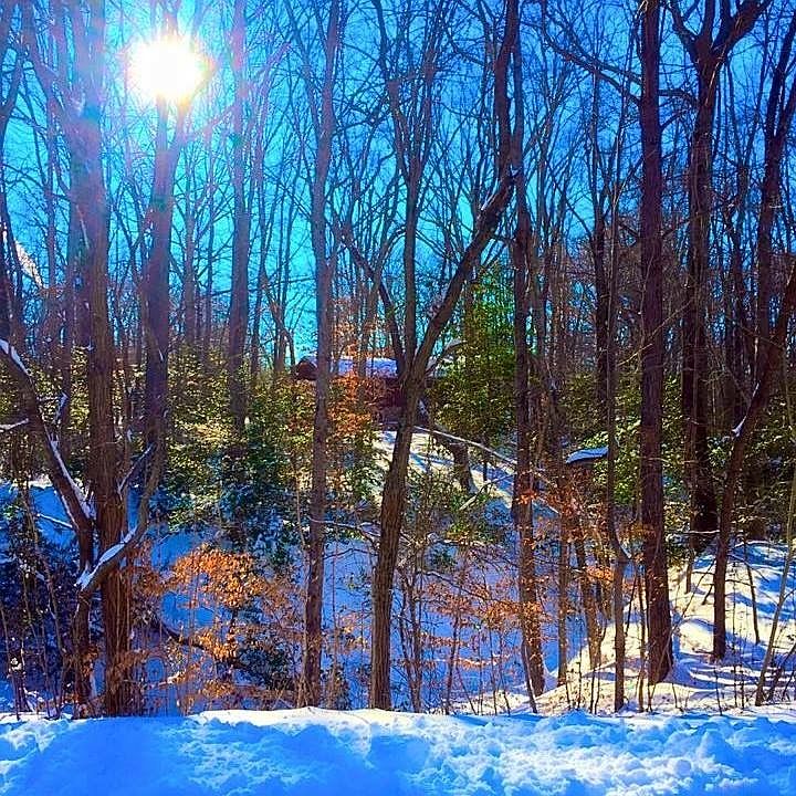 Side Yard in Winter