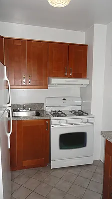 Rented by Manhattan Flats | media 13