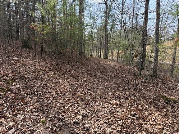 2nd image of LOT 8 Walton Furnace Rd