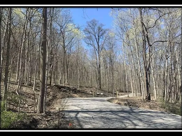 0 Potts Hill Rd Tract 1, Bainbridge, OH 45612
