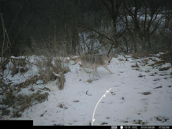 4th image of 12087 U Rd