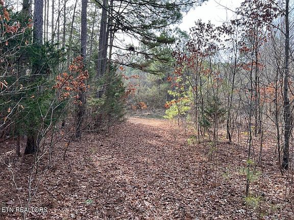 3rd image of 160 County Road 351