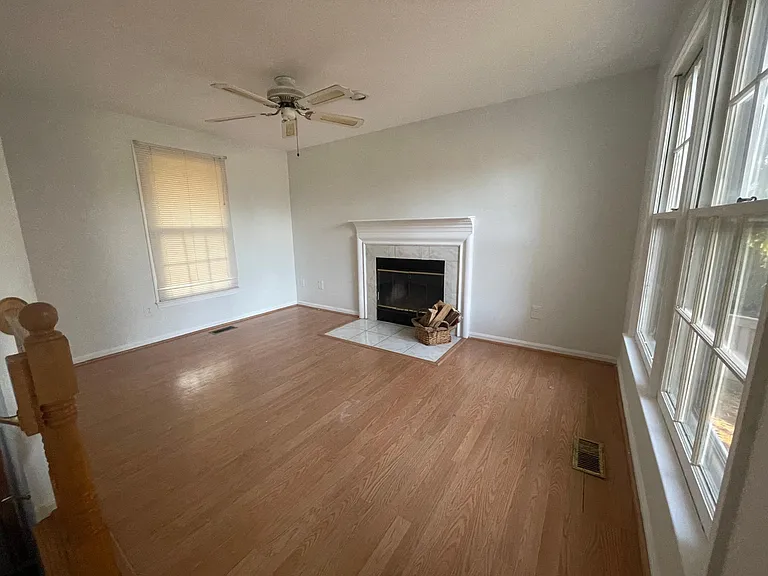Den Fireplace