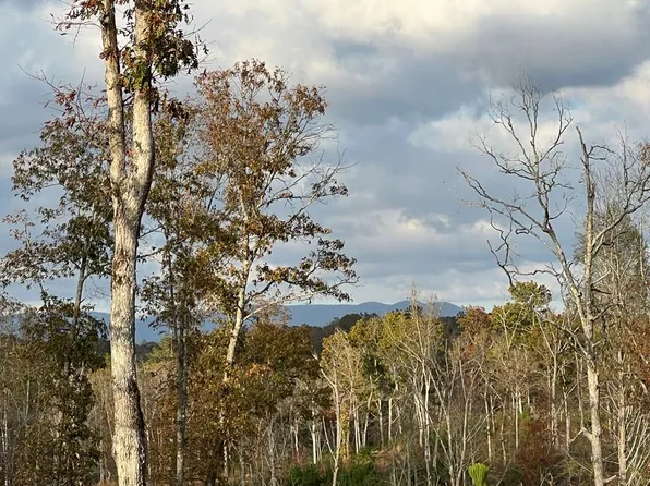 104 High River Rd, Ellijay, GA 30540