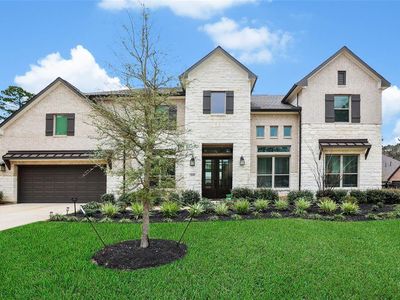 202 Twila Night Ct, Willis, TX, 77318
