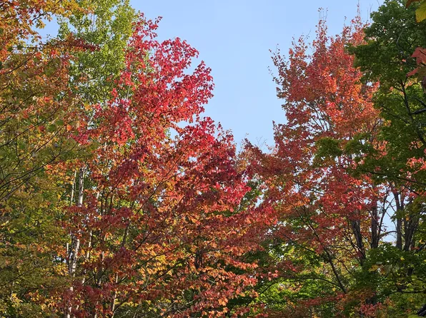 Walker Rd, Afton, MI 49705