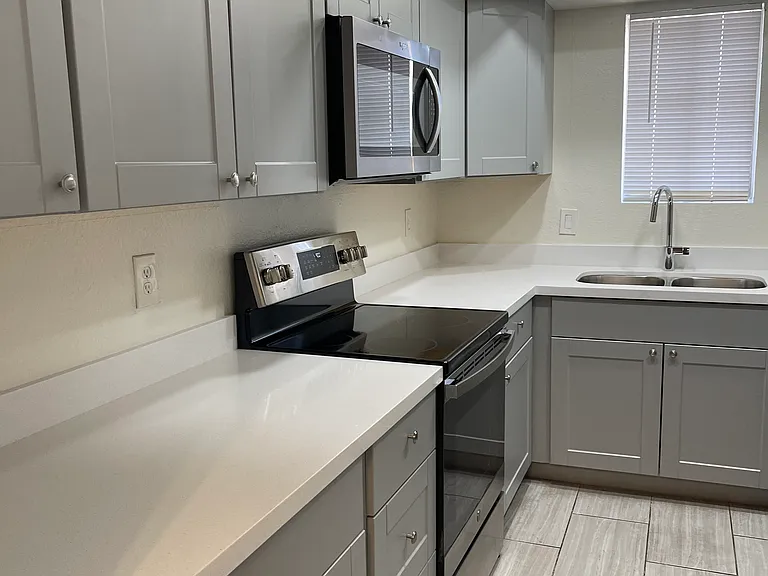 1215 E Lemon St #217 — Photo 10