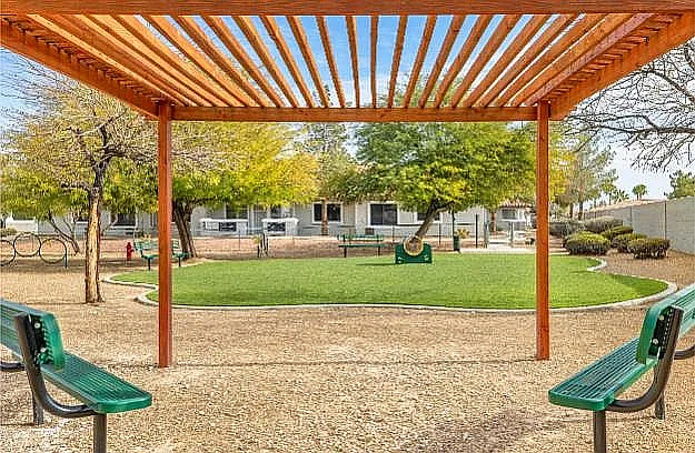 Dog Park