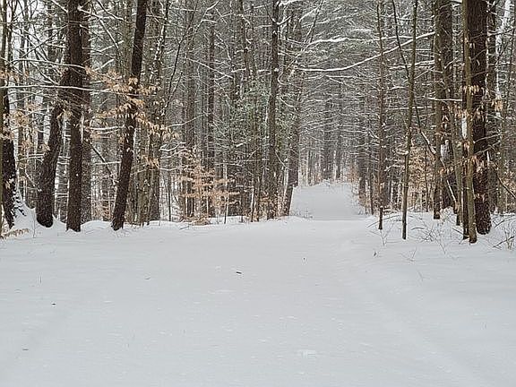 4th image of LOT Pine Wood Dr #D