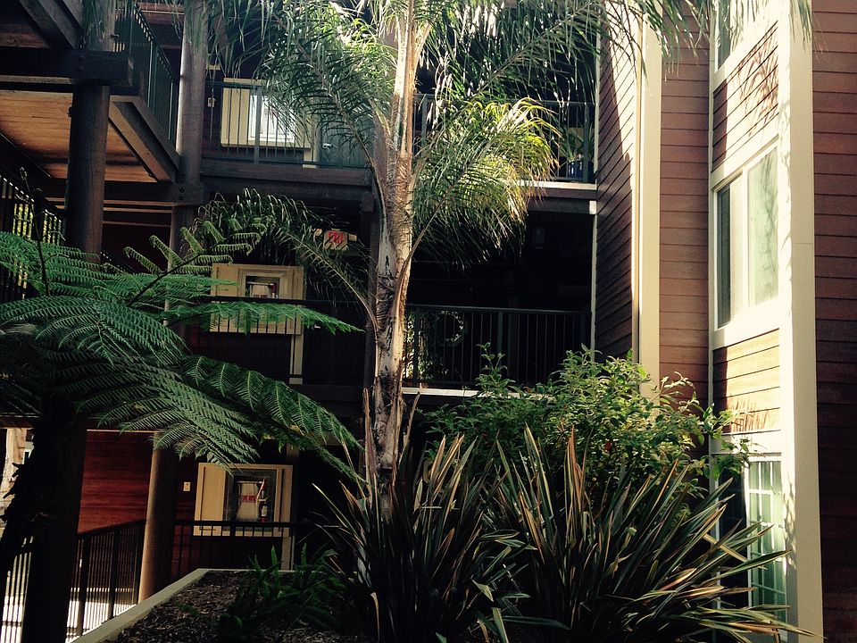 Entry and view from kitchen windows