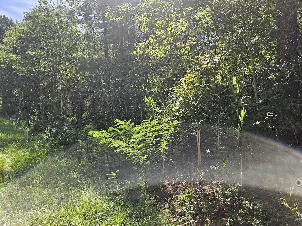 2nd image of 0 Porcher School Rd