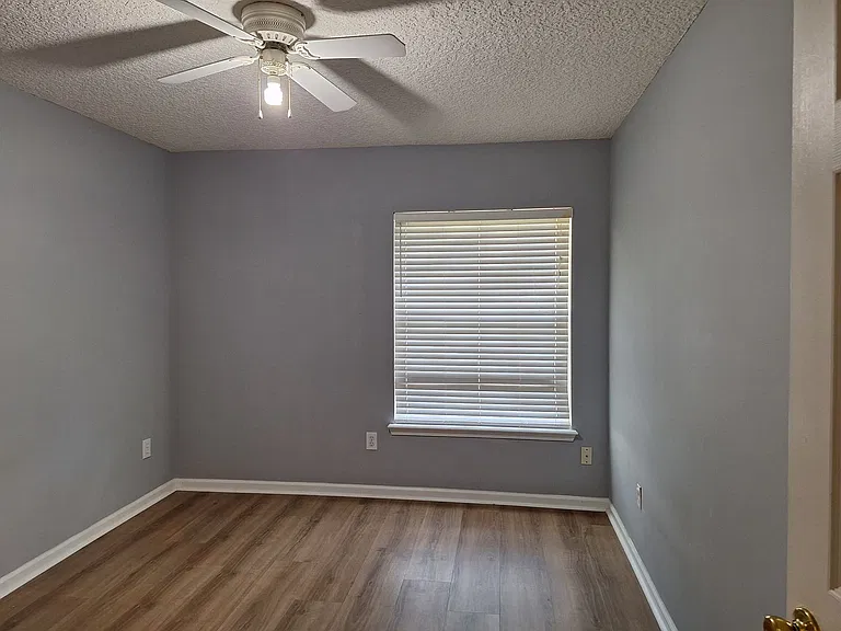 513 White Jasmine Way — Photo 9