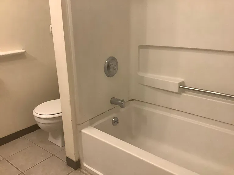Tub and toilet in bathroom