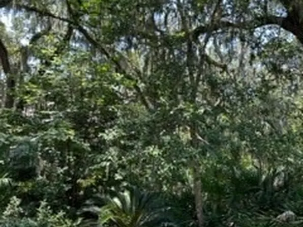 7 Painted Bunting, Fernandina Beach, FL 32034