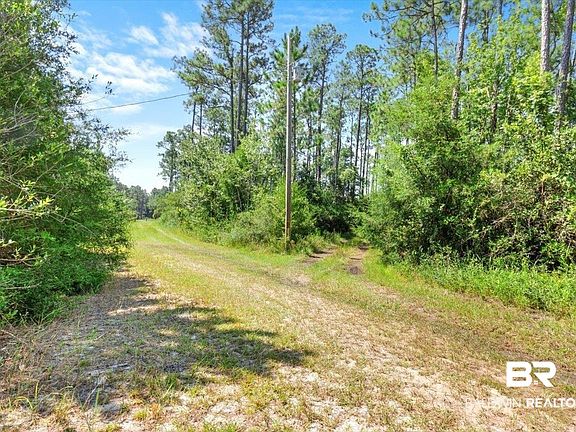 4th image of 19293 Ida Ln
