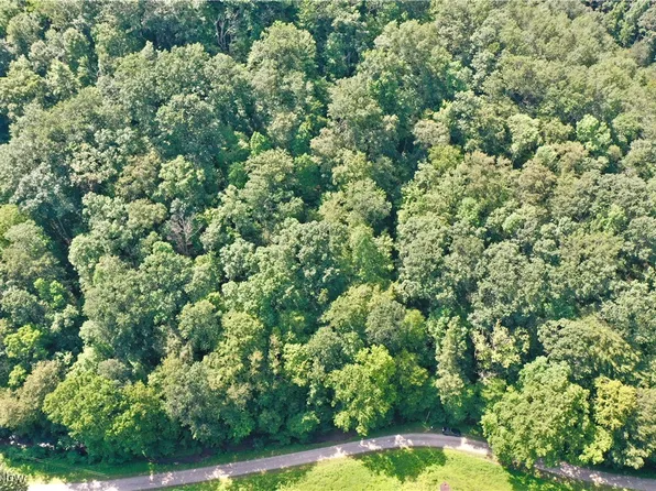 2 Big Root Rd, Big Bend, WV 26136