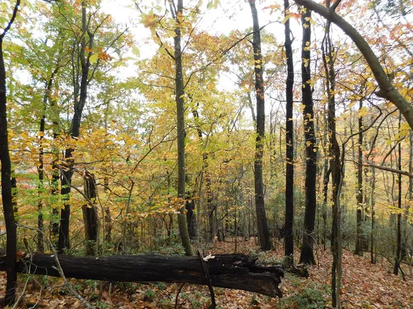 LOT 75 Black Gum Trl, Fancy Gap, VA 24328