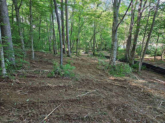 4th image of Lot 4 Chemin Colwell #4