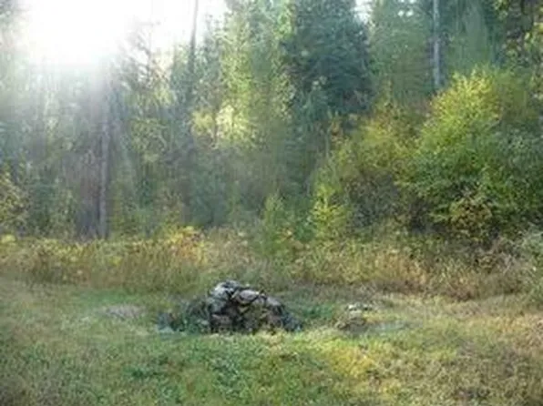 2765 Quarry Browns Lake Rd, Chewelah, WA 99109