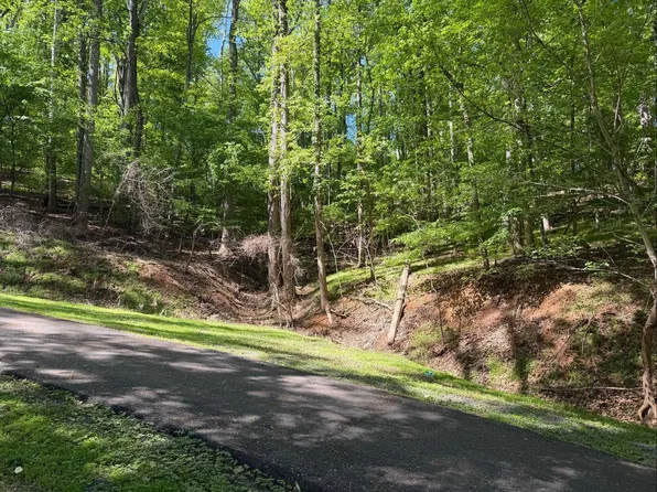 0 Lakecrest Dr, Hardy, VA 24101