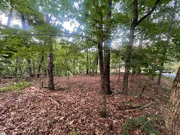 4th image of 0 Craig Ln Lot 1