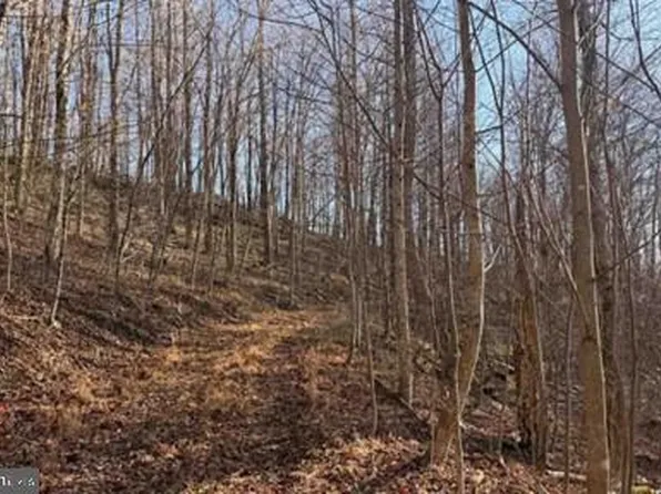 LOT 5 Lick Crk, Green Sulphur Springs, WV 25966