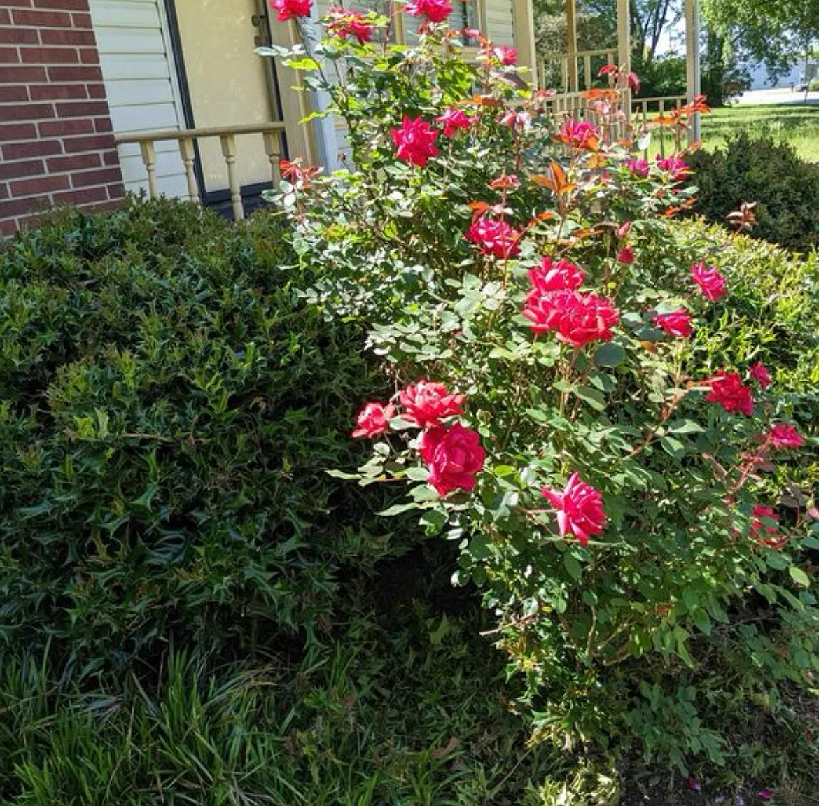1136 Rogers Rd — Photo 2