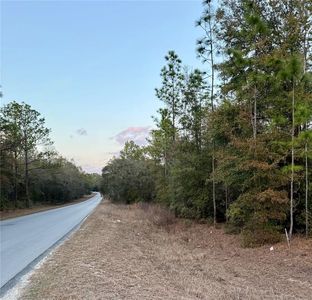 SW 129th Terrace Rd Lot 1, Ocala, FL, 34481