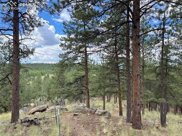 370 Shavano Creek Trl, Florissant, CO 80816