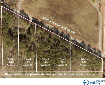 TRACT 5 County Road 450, Centre, AL, 35960