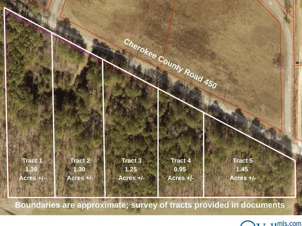 TRACT 2 County Road 450, Centre, AL 35960