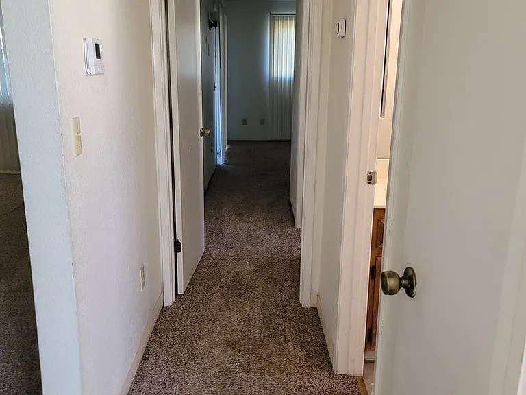 1031 Fallbrook Dr — Photo 15