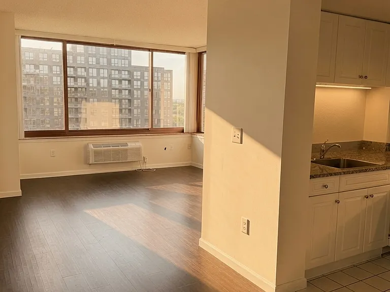 Main Living and Kitchen Area