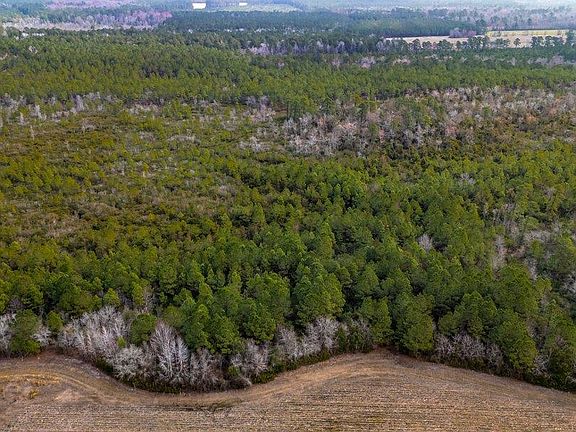 5th image of 9060 Black Creek Rd.