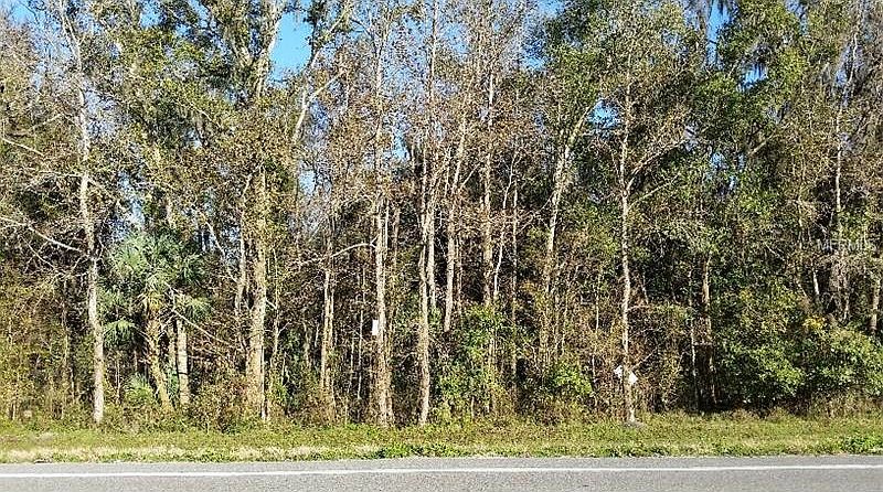 2nd image of Whitney Ave