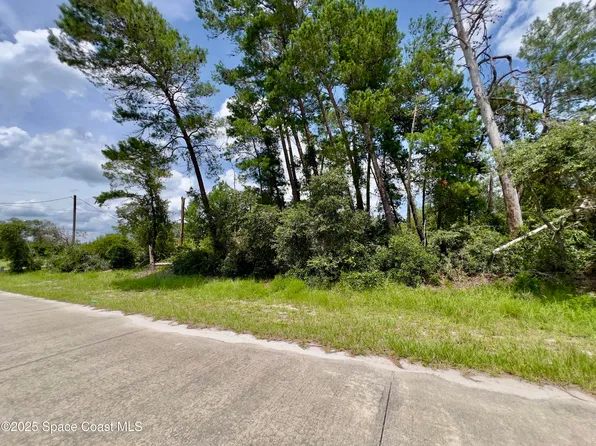 4181 Cinnamon Teal Dr, Mims, FL 32754