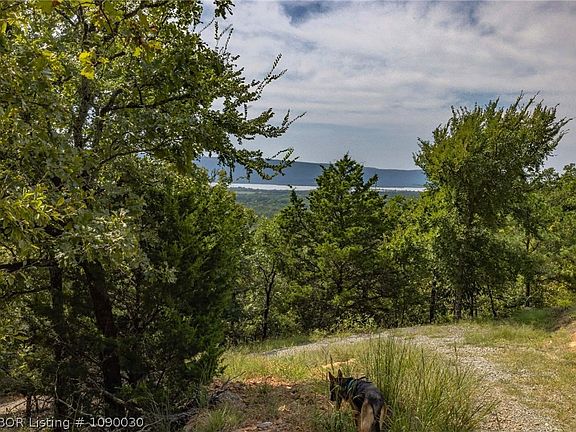 4th image of TRACT One Wolf Mountain Rd