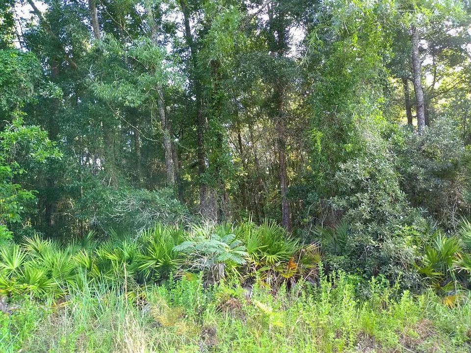 1st image of 11815 NW 12th Ln