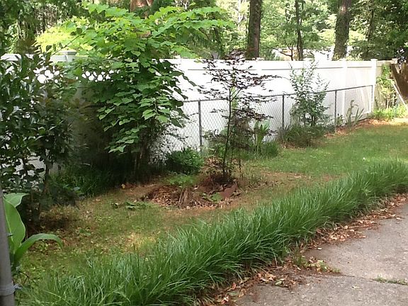 Side yard
