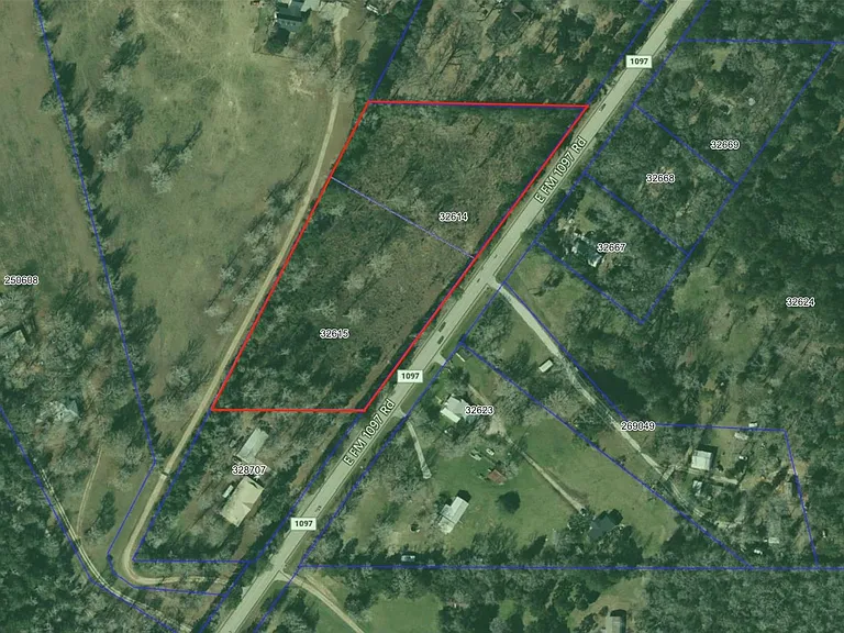 17171 E FM 1097 Rd — Photo 18