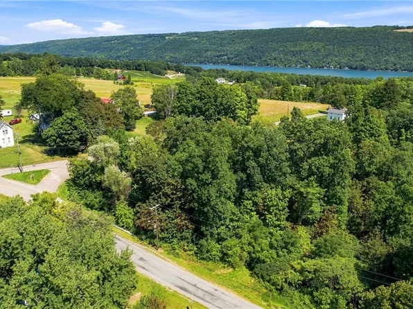 Roff Hill Rd, Pulteney, NY 14874