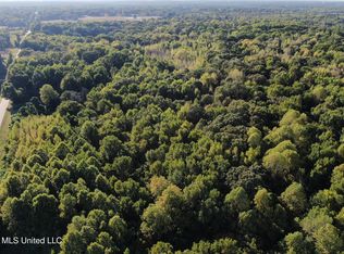 17 Star Landing Rd, Nesbit, MS 38651