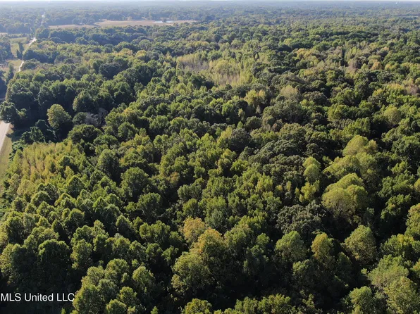 17 Star Landing Rd, Nesbit, MS 38651
