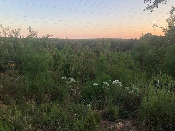 4th image of 0 Lake Secession Rd