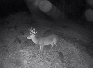 385 Libuse Cutoff Rd, Pineville, LA 71360