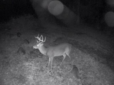 385 Libuse Cutoff Rd, Pineville, LA, 71360