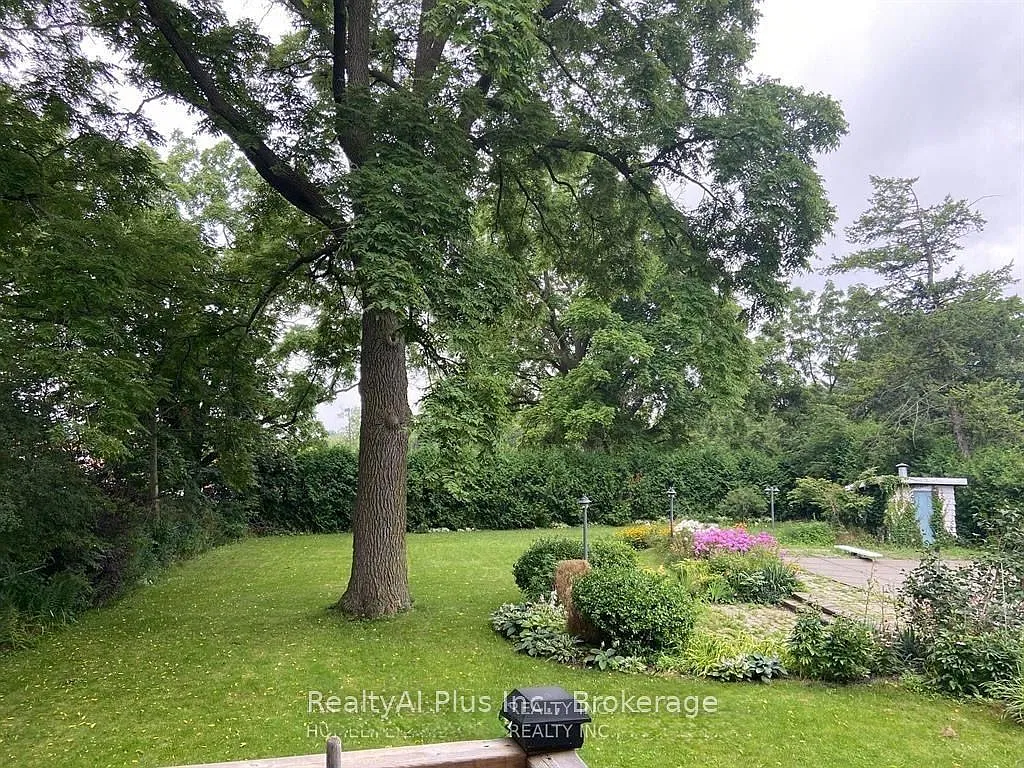 3 bed, $3,300 — Photo 4