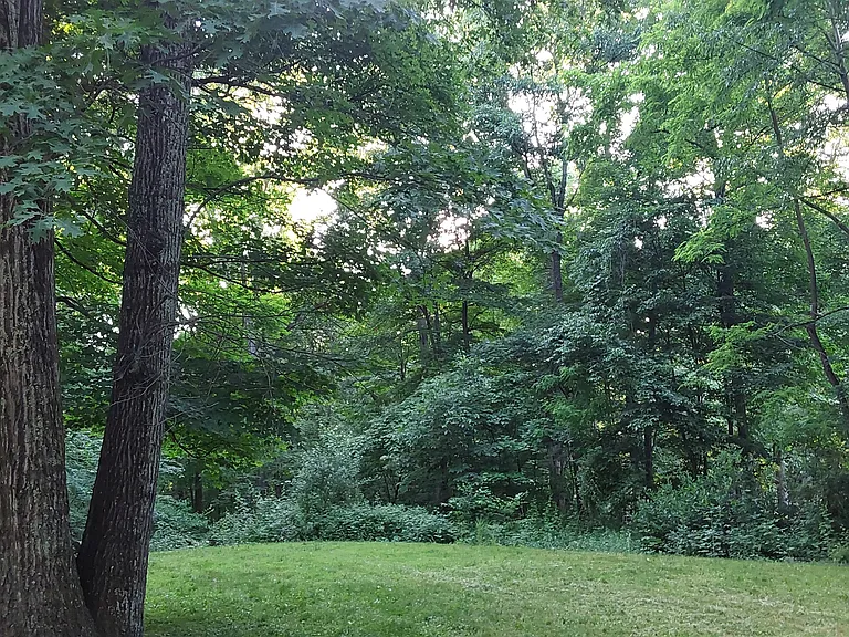 39 Country Pond Ln — Photo 44