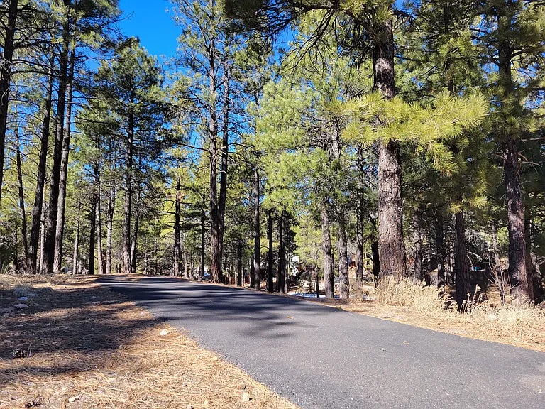 18 W Separation Canyon Trl — Photo 24